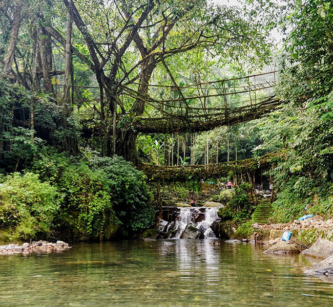 Meghalaya
