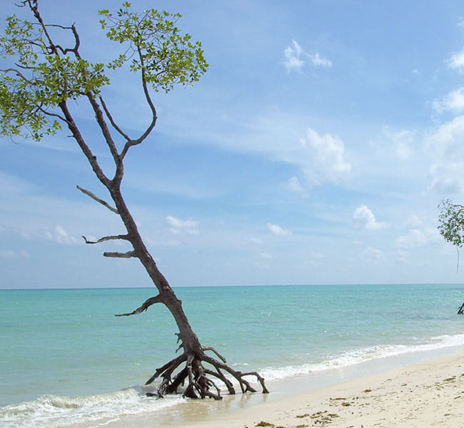 Andaman Travel Guide