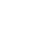 Logo Icon